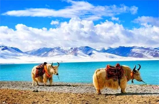 namtso-lake-1 namtso-lake-1