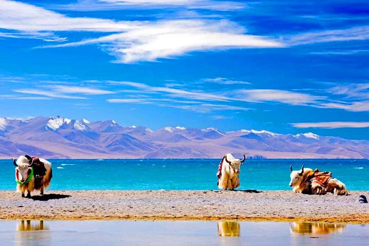 namtso-lake namtso-lake