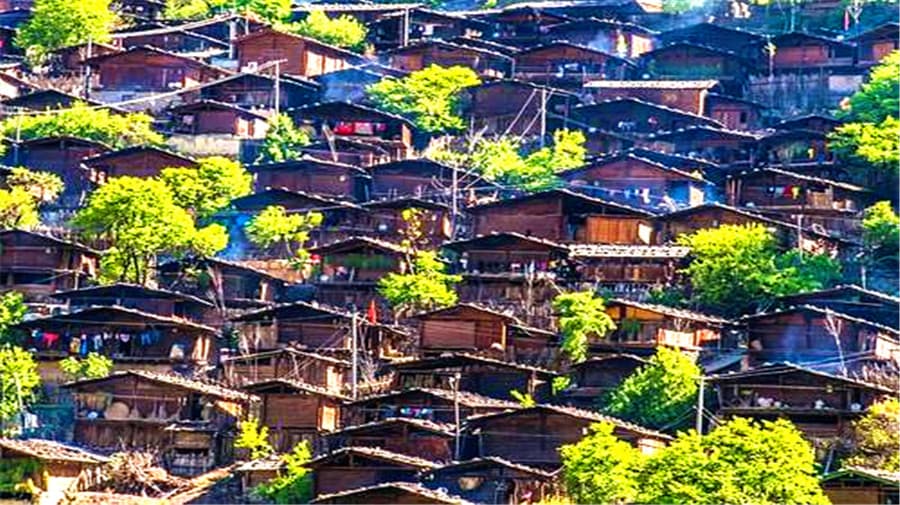tongle-village tongle-village