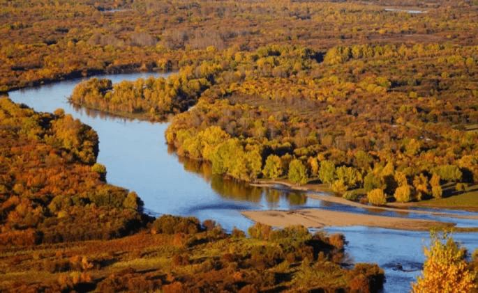 eerguna-wetland eerguna-wetland