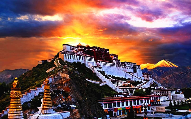 lhasa-1 lhasa-1