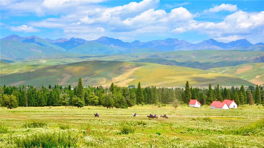naraty-grassland-2 naraty-grassland-2