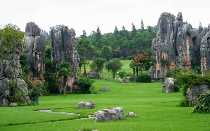 stone-forest stone-forest