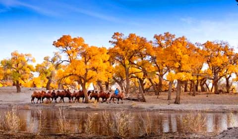 15-days-northwest-china-adventure-tour 15-days-northwest-china-adventure-tour