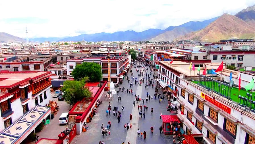 lhasa lhasa