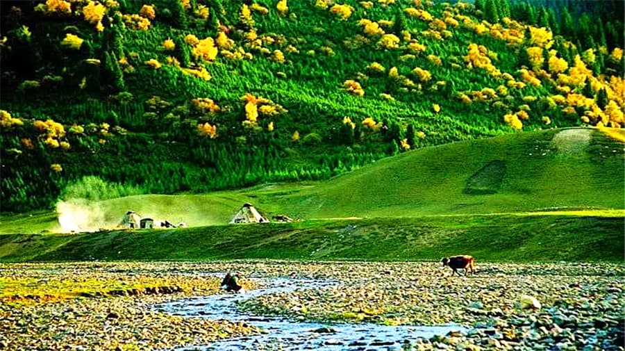 naraty-grassland naraty-grassland