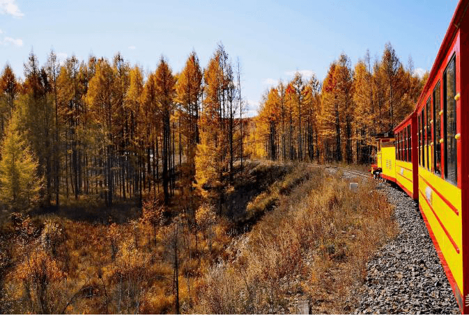 mordoga-national-forest-park-1 mordoga-national-forest-park-1