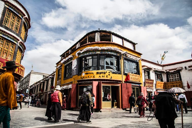 lhasa lhasa