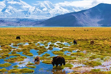 5-days-kashgar-city-tour-and-karakul-lake-adventure-to-taxkorgan-county-1 5-days-kashgar-city-tour-and-karakul-lake-adventure-to-taxkorgan-county-1