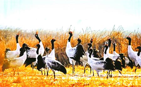 9-days-qinghai-exploration-tour-from-xining-to-golmud 9-days-qinghai-exploration-tour-from-xining-to-golmud