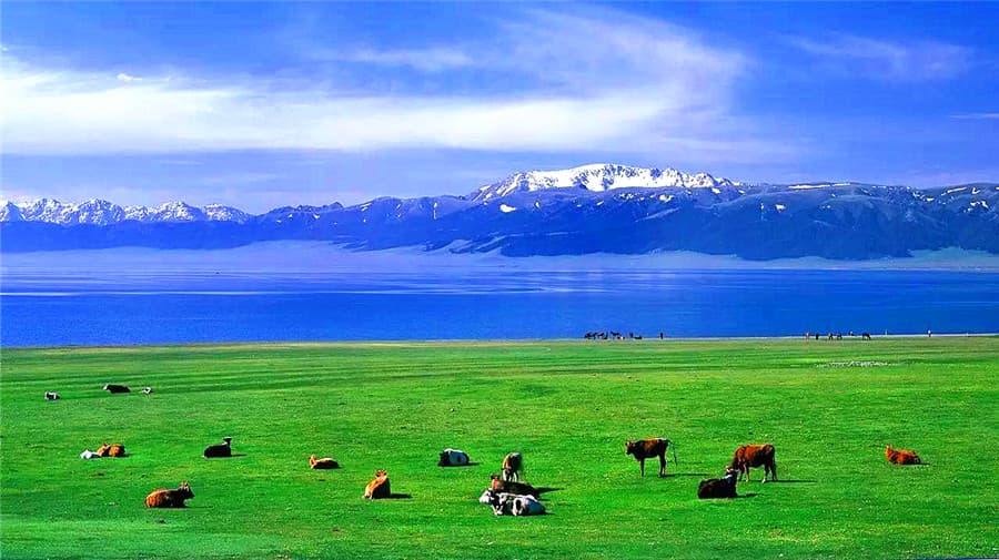 naraty-grassland naraty-grassland
