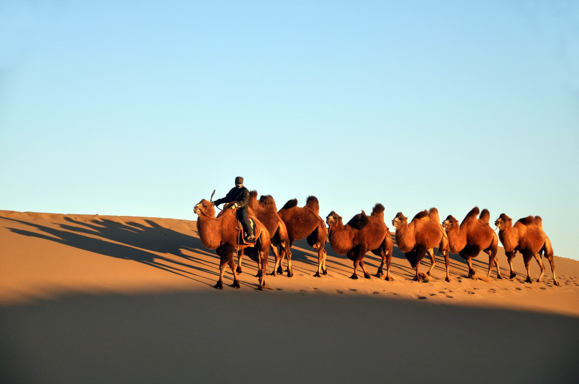 badanjaran-desert badanjaran-desert