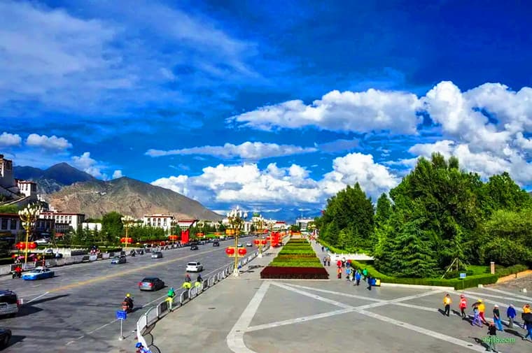 lhasa lhasa