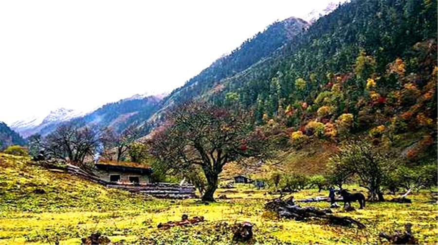 cizhong-village-01 cizhong-village-01