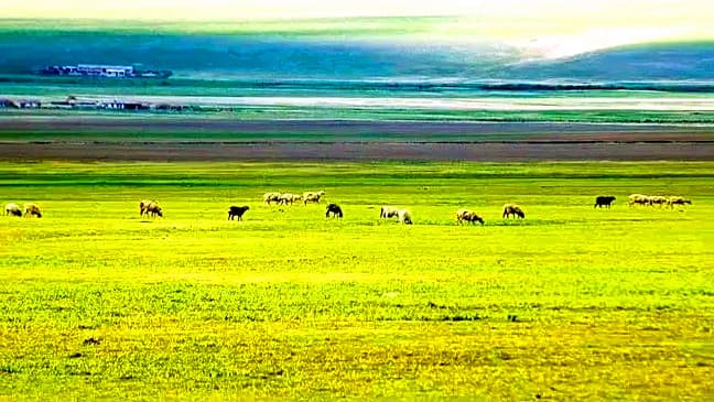 balikun-grassland-1 balikun-grassland-1