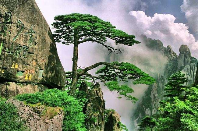 mount-huangshan-1 mount-huangshan-1