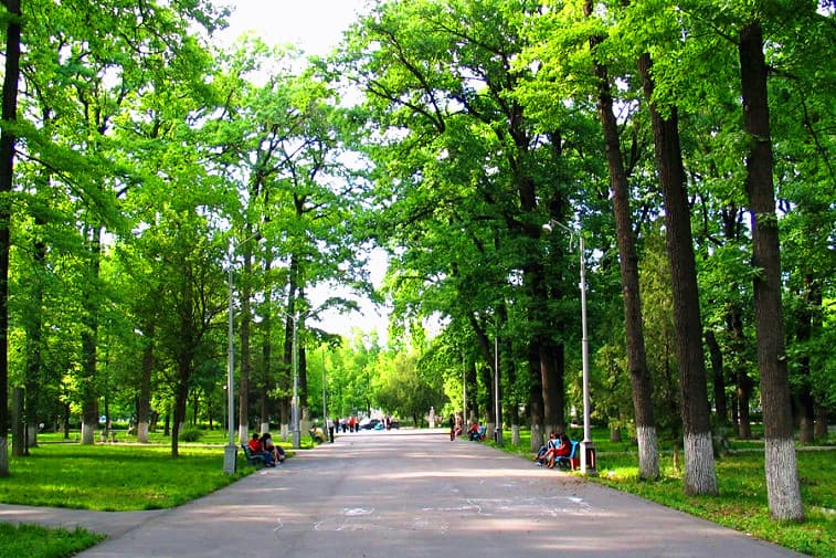 duboviy-park duboviy-park