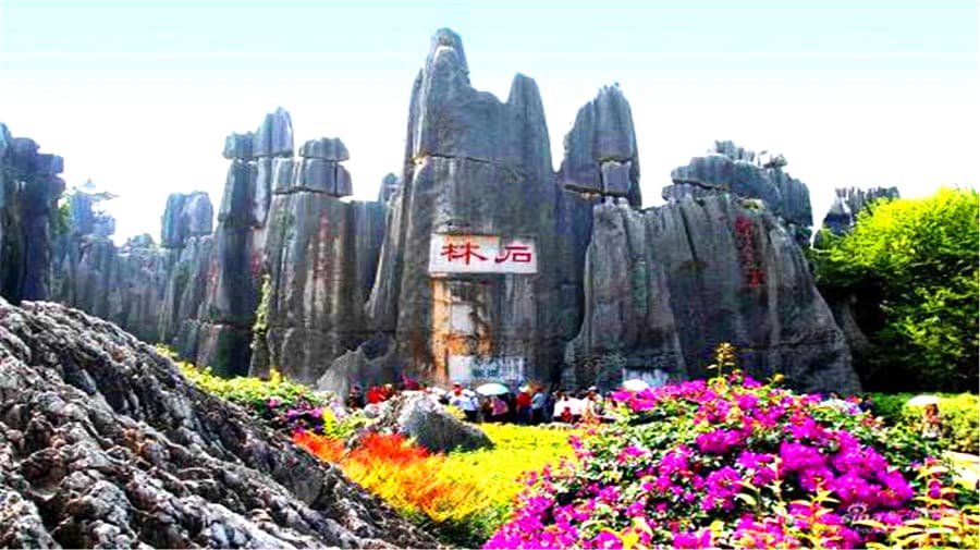 stone-forest stone-forest