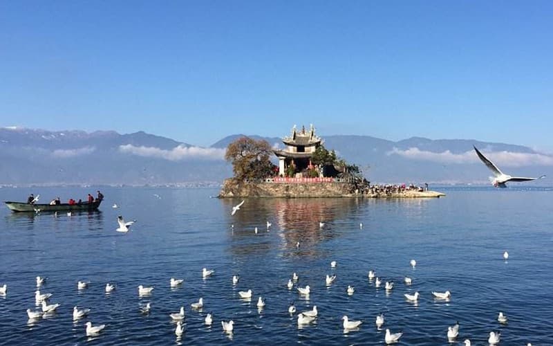 erhai-lake erhai-lake