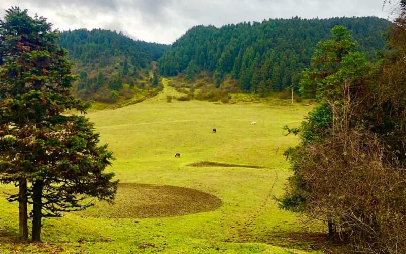 fairy-mountain-national-forest-park fairy-mountain-national-forest-park