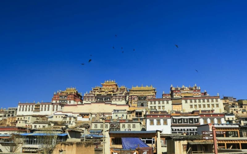 songzanlin-tibetan-monastery songzanlin-tibetan-monastery