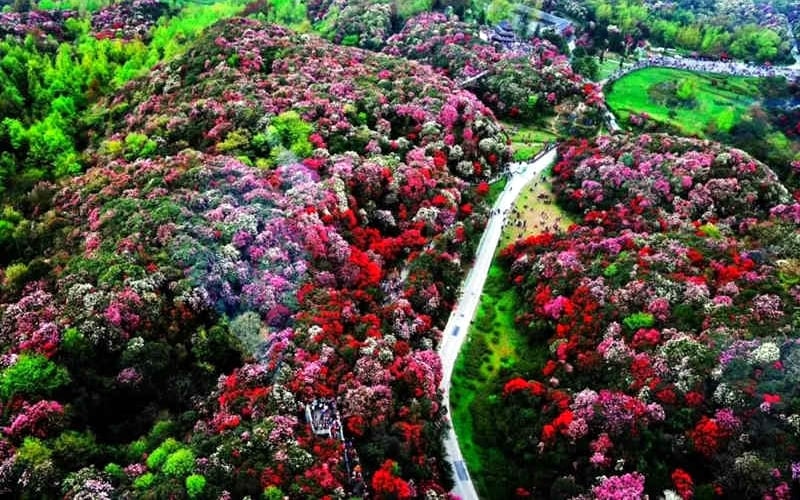 7-days-guizhou-tour-to-guiyang-bijie-libo-and-congjiang 7-days-guizhou-tour-to-guiyang-bijie-libo-and-congjiang