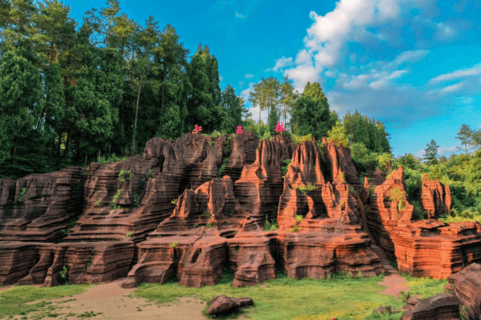 red-stone-forest red-stone-forest