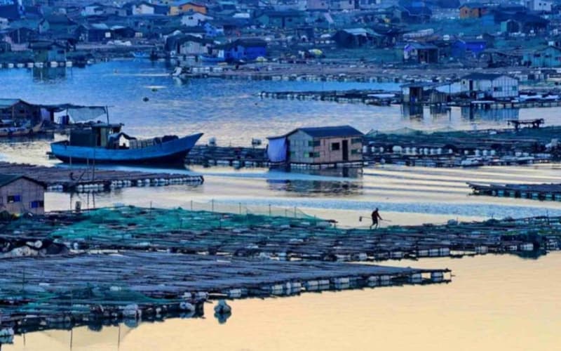 dong-an-fishing-village dong-an-fishing-village