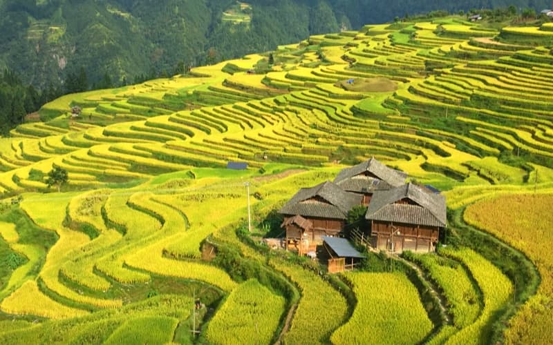 jiabang-rice-terrace-field jiabang-rice-terrace-field