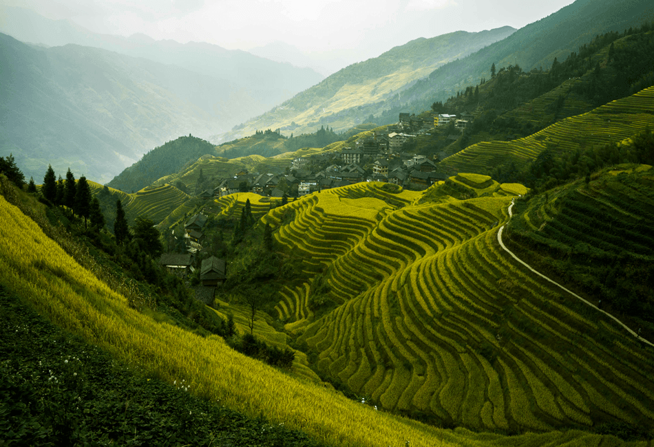 longji-rice-terraces-2 longji-rice-terraces-2