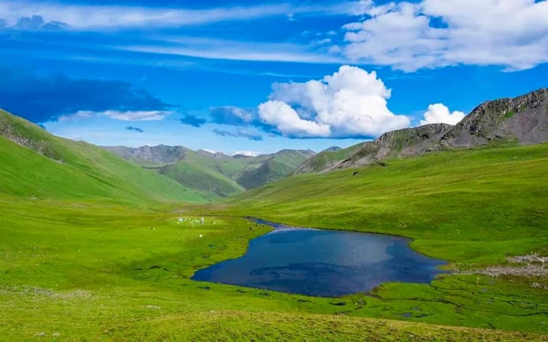 niuganmafeihai-pass niuganmafeihai-pass