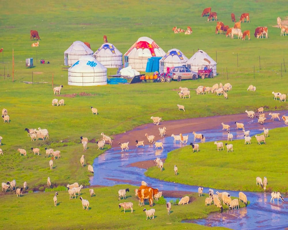 mongolian-herdsmen-s-pasture-2 mongolian-herdsmen-s-pasture-2