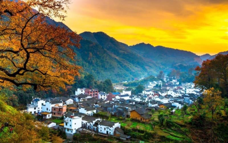 wuyuan wuyuan