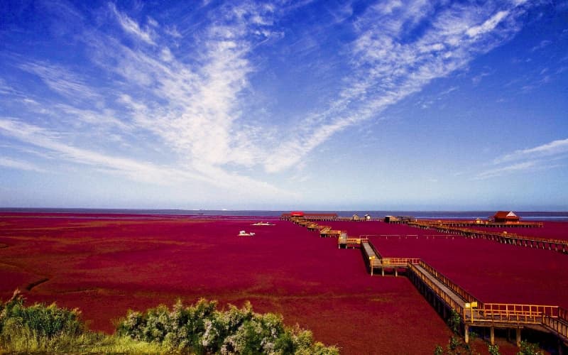 red-beach-scenic-spot-2 red-beach-scenic-spot-2