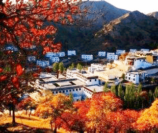 wudang-monastery wudang-monastery