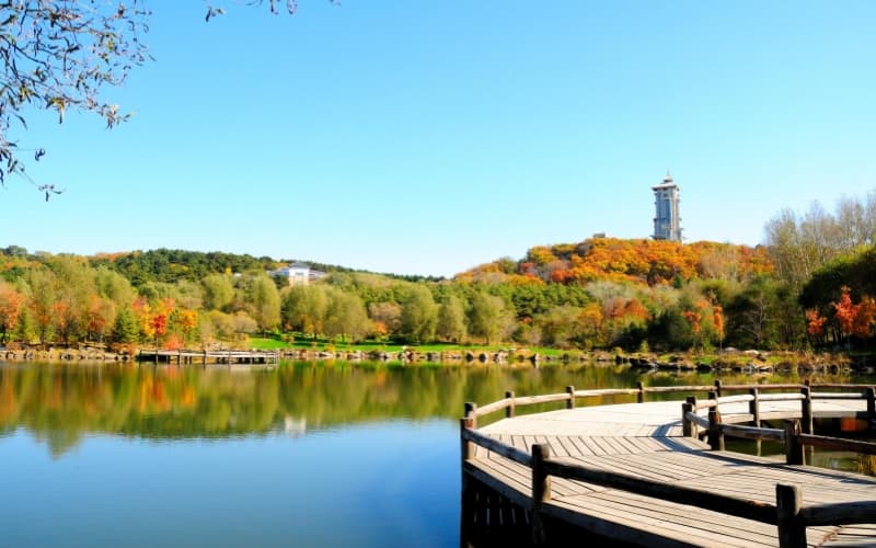 jingyue-lake jingyue-lake