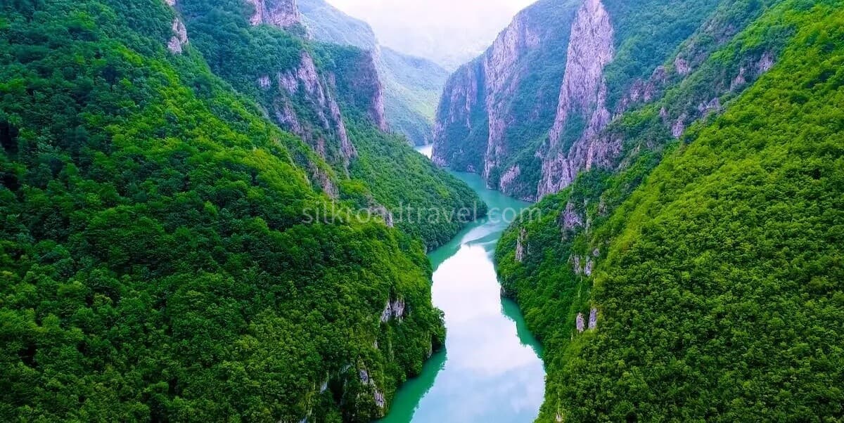 shennv-stream shennv-stream