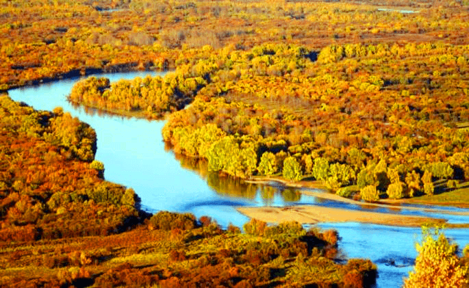 eerguna-wetland eerguna-wetland