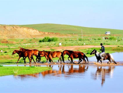the-beautiful-scenery-of-the-xilamuren-prairie the-beautiful-scenery-of-the-xilamuren-prairie