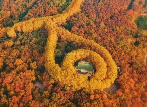 4-days-nanjing-in-depth-tour 4-days-nanjing-in-depth-tour