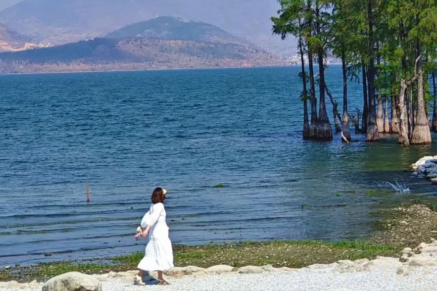 erhai-lake erhai-lake