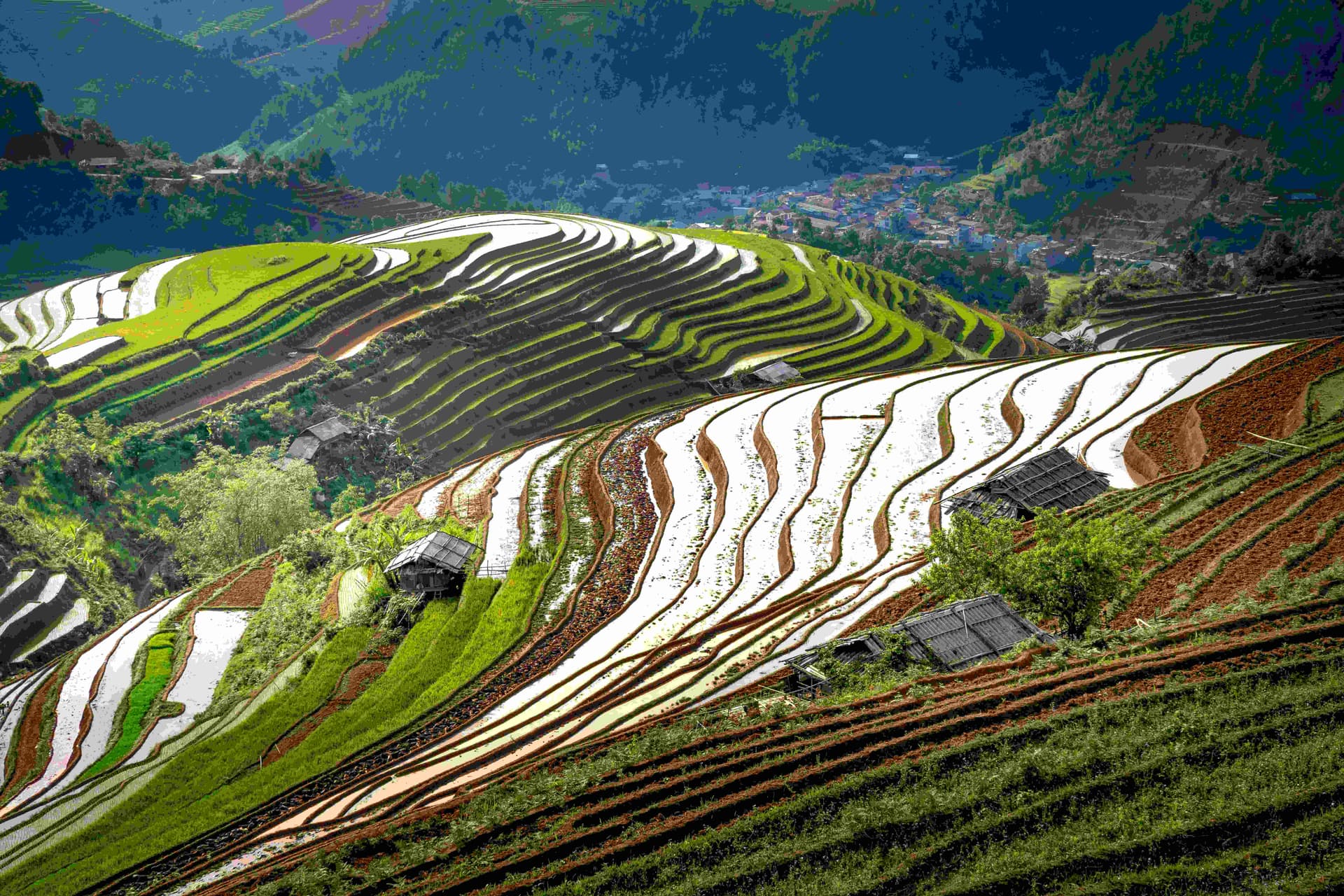 longji-rice-terraces-2 longji-rice-terraces-2