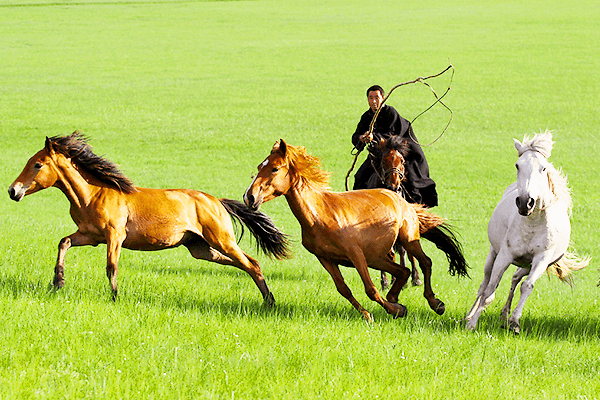 mongolian-herdsmen-s-pasture mongolian-herdsmen-s-pasture