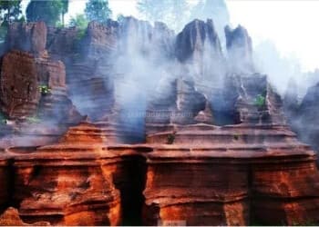 the-red-stone-forest-scenic-area the-red-stone-forest-scenic-area