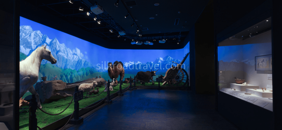 hotan-museu hotan-museu