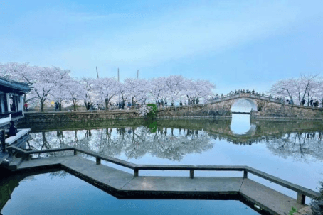 taihu-lake taihu-lake