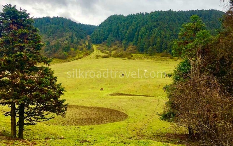 fairy-mountain-national-forest-park fairy-mountain-national-forest-park