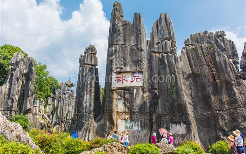 stone-forest stone-forest