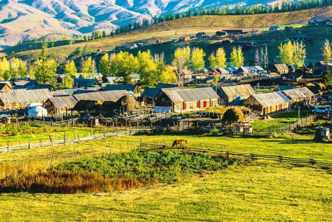hemu-village-2 hemu-village-2
