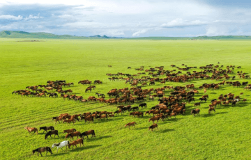 15-days-inner-mongolian-tour 15-days-inner-mongolian-tour